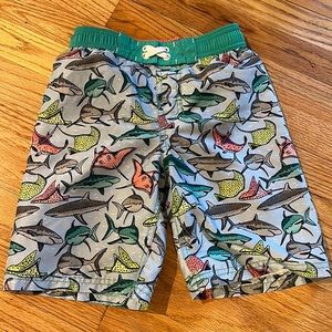 Swim trunks- sharks/ stingray